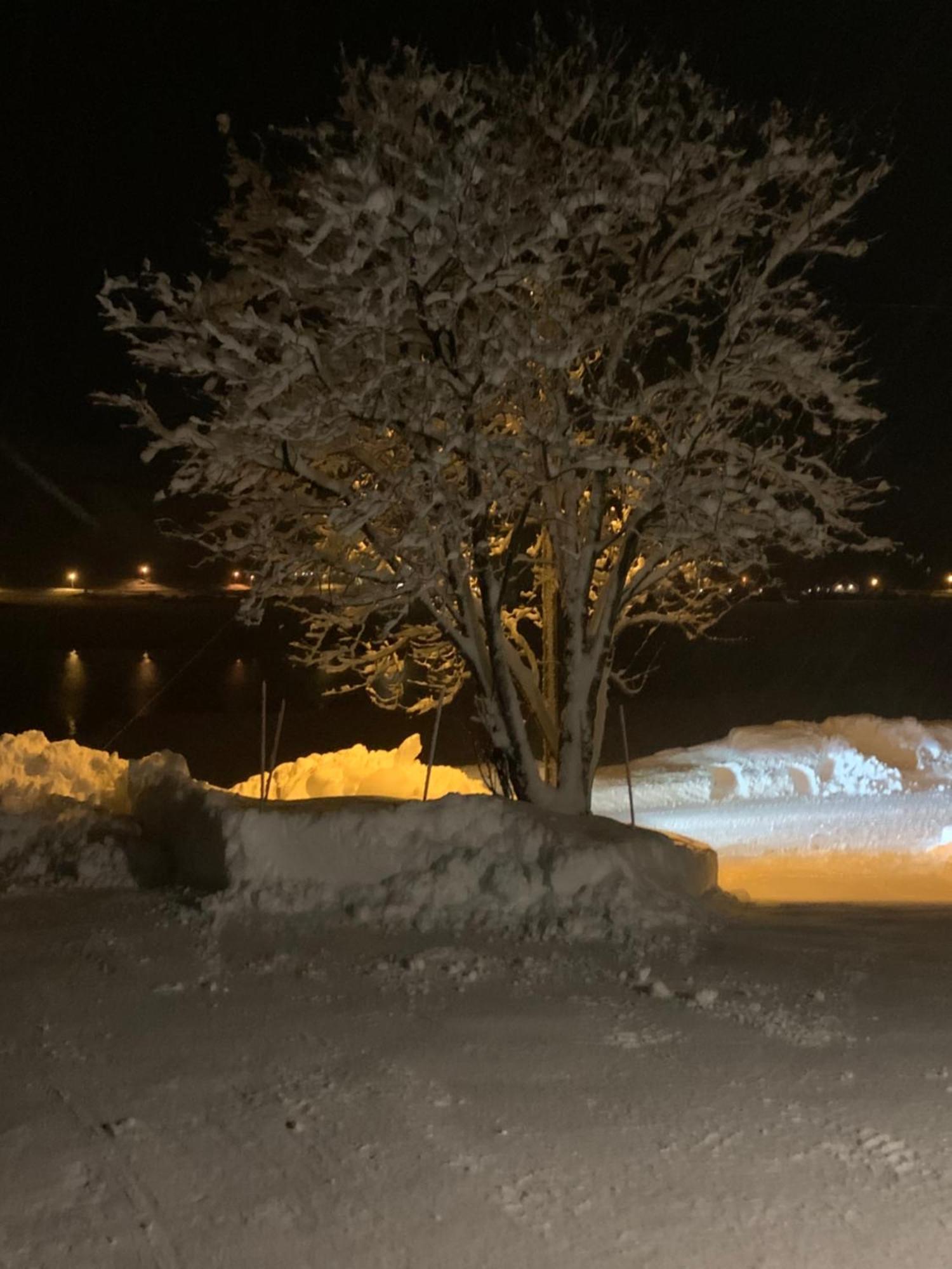 Apartment Liten Inkludert Frokost Valberg